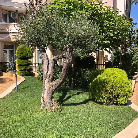 Vp Mellia 10 Park